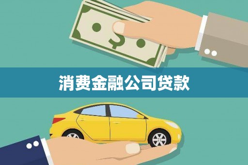 东宝消费金融公司贷款
