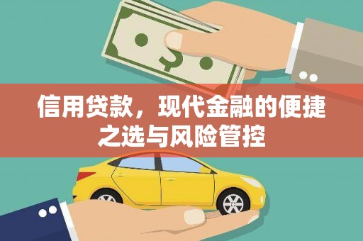 东宝信用贷款，现代金融的便捷之选与风险管控