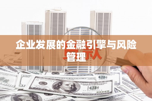 东宝企业发展的金融引擎与风险管理