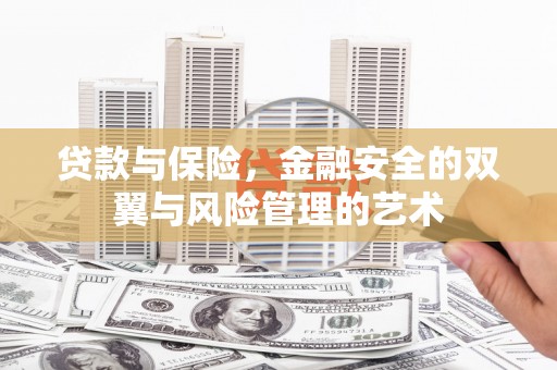 东宝贷款与保险，金融安全的双翼与风险管理的艺术