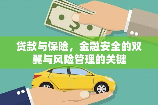 东宝贷款与保险，金融安全的双翼与风险管理的关键