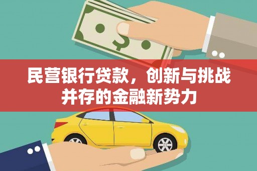 东宝民营银行贷款，创新与挑战并存的金融新势力