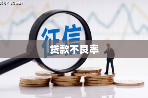 东宝贷款不良率
