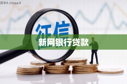 东宝新网银行贷款