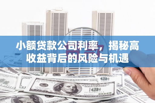 东宝小额贷款公司利率，揭秘高收益背后的风险与机遇