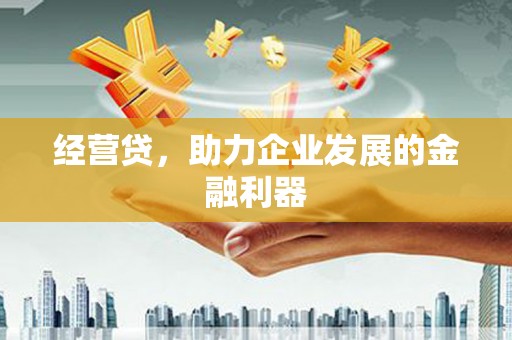 东宝经营贷，助力企业发展的金融利器