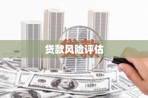 东宝贷款风险评估