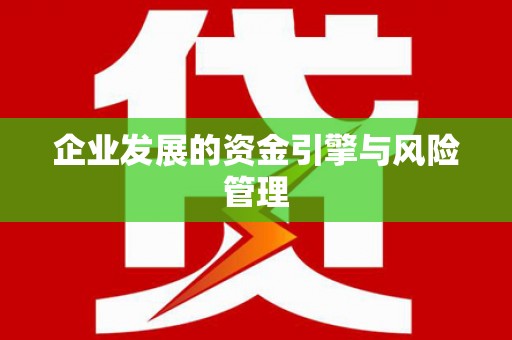 东宝企业发展的资金引擎与风险管理