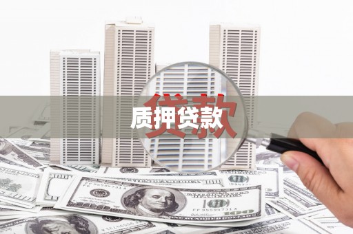 东宝质押贷款