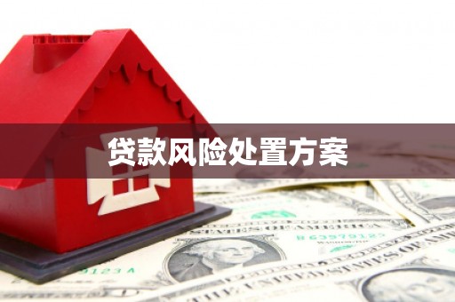 东宝贷款风险处置方案