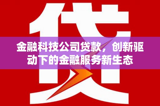 东宝金融科技公司贷款，创新驱动下的金融服务新生态