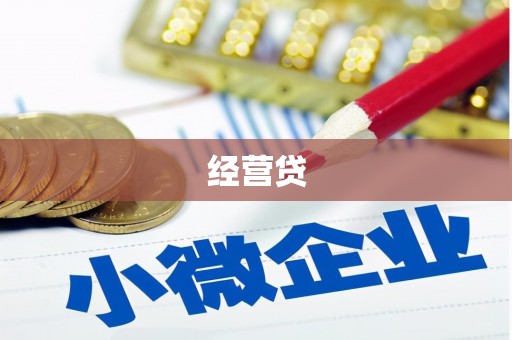 东宝经营贷