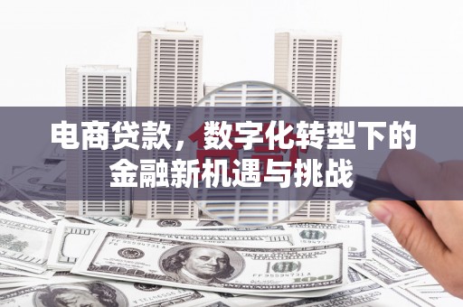 东宝电商贷款，数字化转型下的金融新机遇与挑战