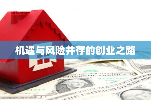 东宝机遇与风险并存的创业之路
