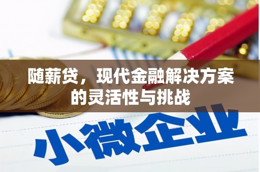 东宝随薪贷，现代金融解决方案的灵活性与挑战