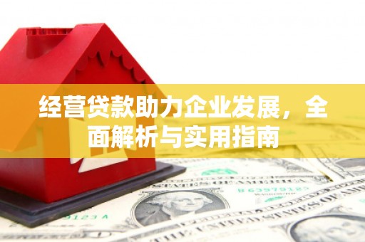 东宝经营贷款助力企业发展，全面解析与实用指南