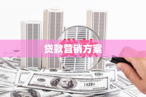 东宝贷款营销方案