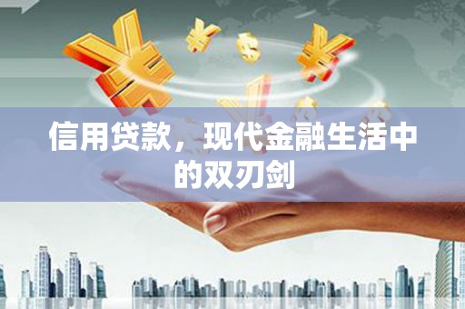 东宝信用贷款，现代金融生活中的双刃剑