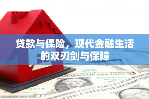 东宝贷款与保险，现代金融生活的双刃剑与保障