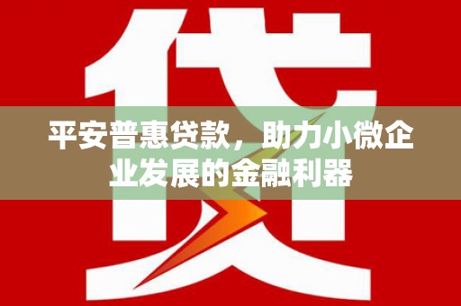 东宝平安普惠贷款，助力小微企业发展的金融利器