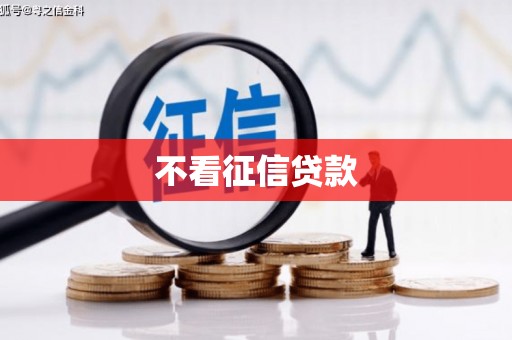 东宝不看征信贷款