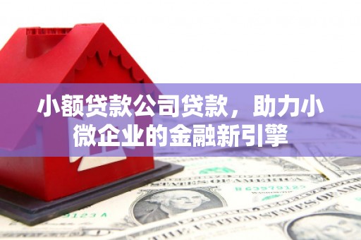 东宝小额贷款公司贷款，助力小微企业的金融新引擎