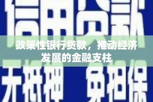 东宝政策性银行贷款，推动经济发展的金融支柱