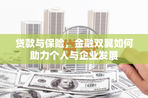 东宝贷款与保险，金融双翼如何助力个人与企业发展
