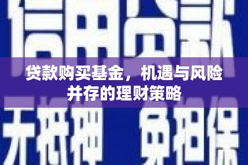 东宝贷款购买基金，机遇与风险并存的理财策略
