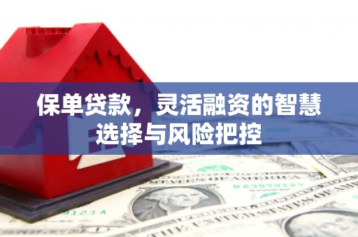 东宝保单贷款，灵活融资的智慧选择与风险把控