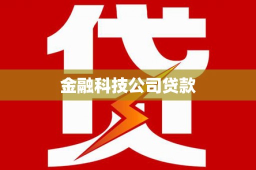 东宝金融科技公司贷款