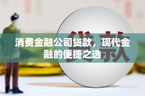 东宝消费金融公司贷款，现代金融的便捷之选