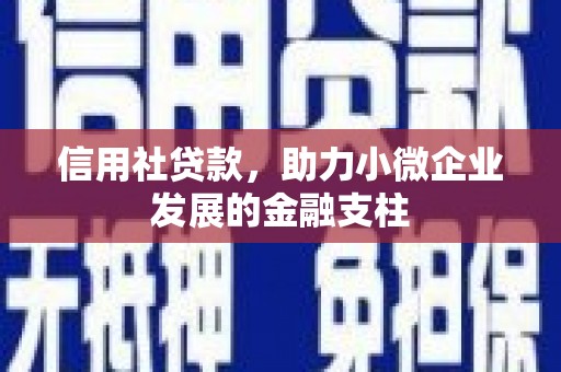 东宝信用社贷款，助力小微企业发展的金融支柱