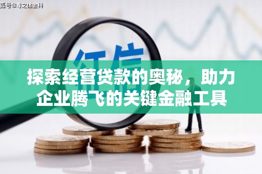 东宝探索经营贷款的奥秘，助力企业腾飞的关键金融工具