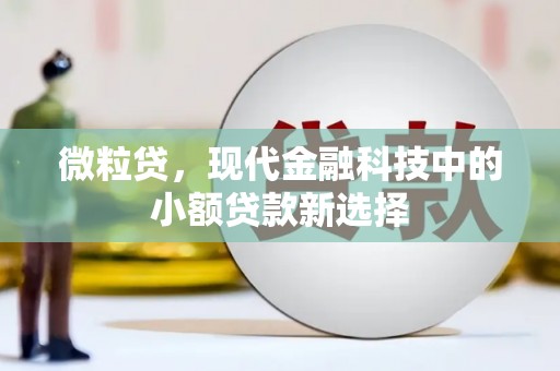 东宝微粒贷，现代金融科技中的小额贷款新选择