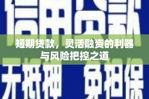 东宝短期贷款，灵活融资的利器与风险把控之道