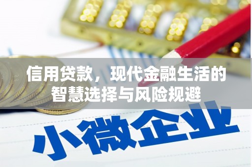 东宝信用贷款，现代金融生活的智慧选择与风险规避