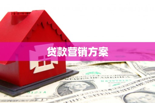 东宝贷款营销方案