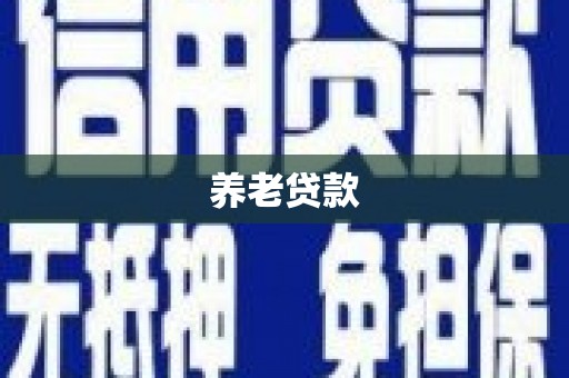 东宝养老贷款
