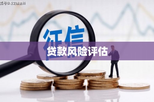 东宝贷款风险评估