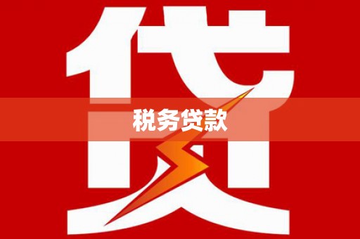东宝税务贷款