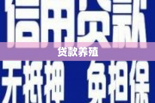 东宝贷款养殖