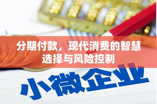 东宝分期付款，现代消费的智慧选择与风险控制