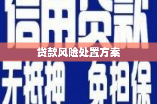 东宝贷款风险处置方案