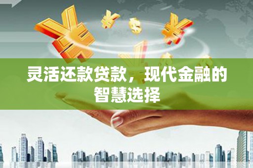 东宝灵活还款贷款，现代金融的智慧选择