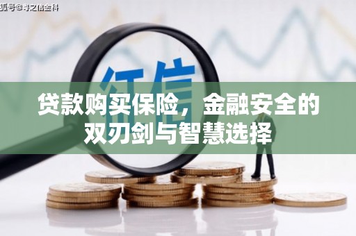东宝贷款购买保险，金融安全的双刃剑与智慧选择