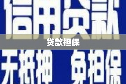 东宝贷款担保