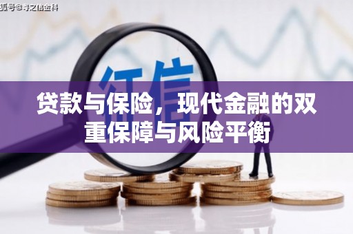 东宝贷款与保险，现代金融的双重保障与风险平衡