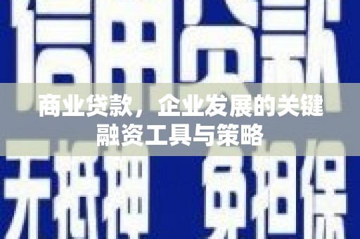 东宝商业贷款，企业发展的关键融资工具与策略
