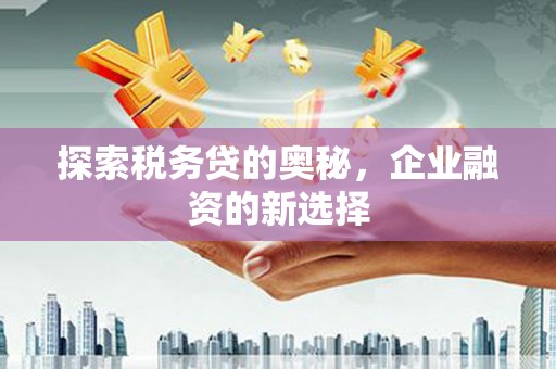 东宝探索税务贷的奥秘，企业融资的新选择